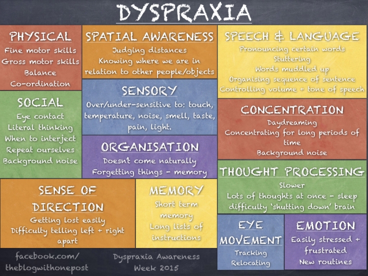 Areas dyspraxia affects.001